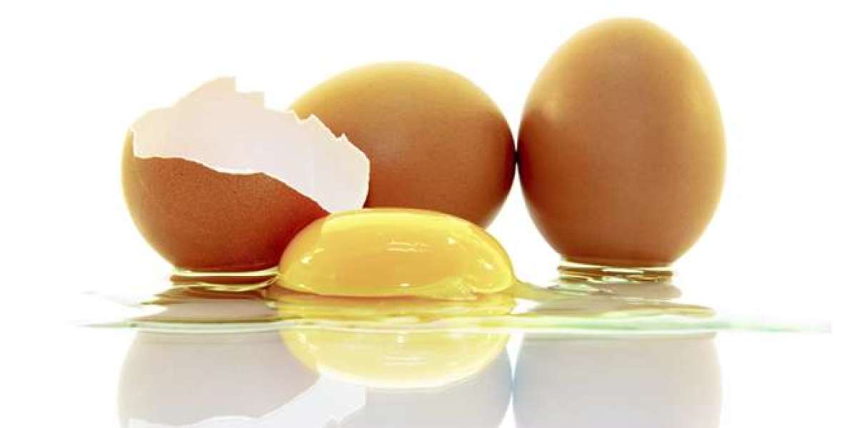 Namakkal Egg Production | Egg Manufacturers in Namakkal