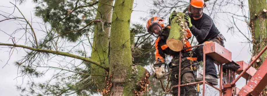 Idaho Falls Tree Service Cover Image