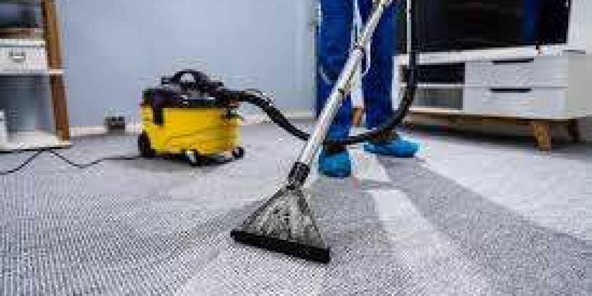 The Comfort and Health Benefits of Professional Carpet Cleaning