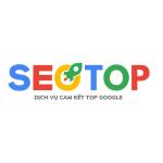 DỊCH VỤ SEO TỔNG THỂ SEOTOPVN Profile Picture