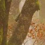 Gloria Maleche Profile Picture