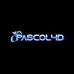 PASCOL4D profile picture