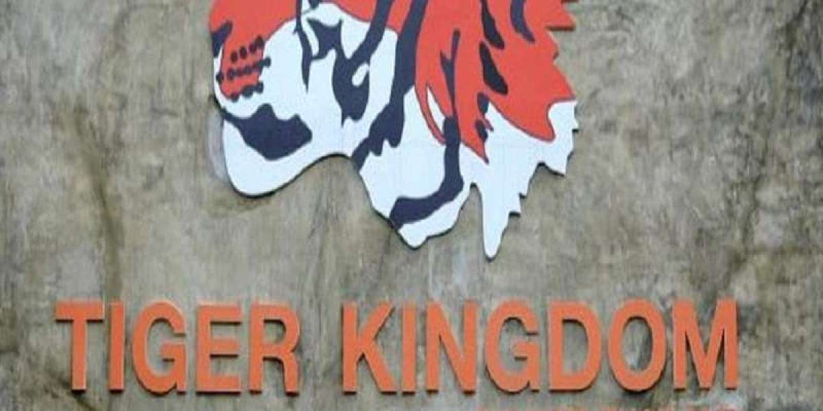 Exploring Tiger Kingdom Phuket: An Unforgettable Experience