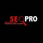 Seo Pro Profile Picture