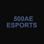 500Ae ink Profile Picture