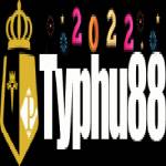 typhutamtam capital Profile Picture