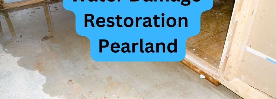 Water Damage Pros Pearland Cover Image