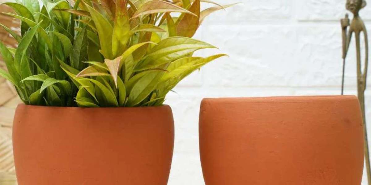 Transform Your Garden with These Stylish Mud Pots for Plants