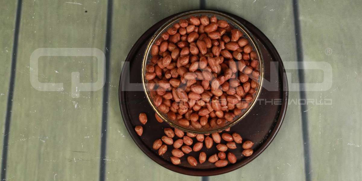 Top 10 Facts about Blanched Peanuts - QLand Agriworld