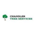 Chandler Tree Service Profile Picture