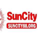 Suncity88 org Profile Picture