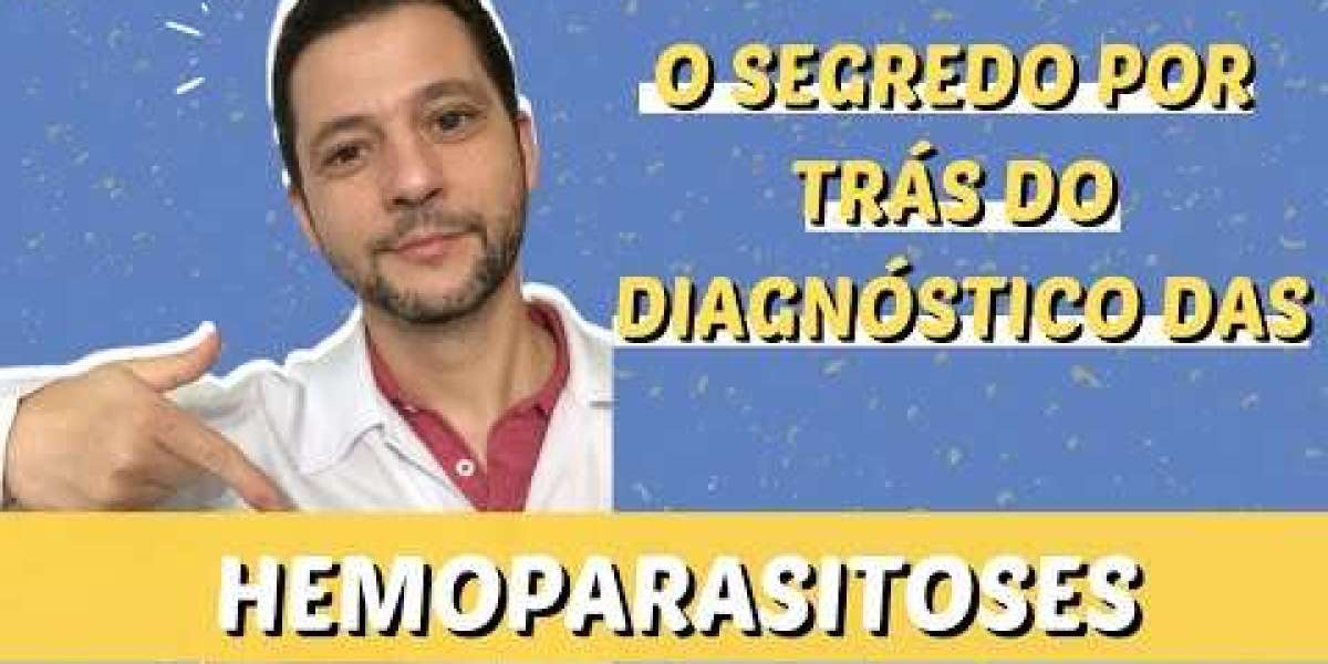 Descubra a PCR em Erliquiose: O Que É e Como Diagnosticar Essa Doença em Seus Pets