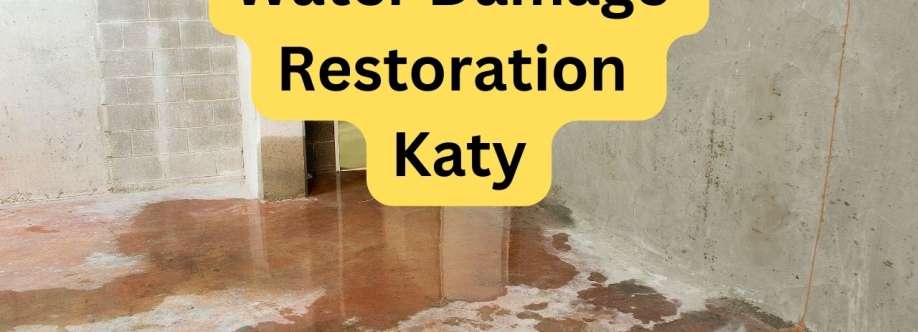 Water Damage Pros Katy Cover Image