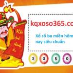 kqxoso365 Profile Picture