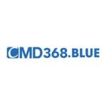 CMD368 Blue Profile Picture