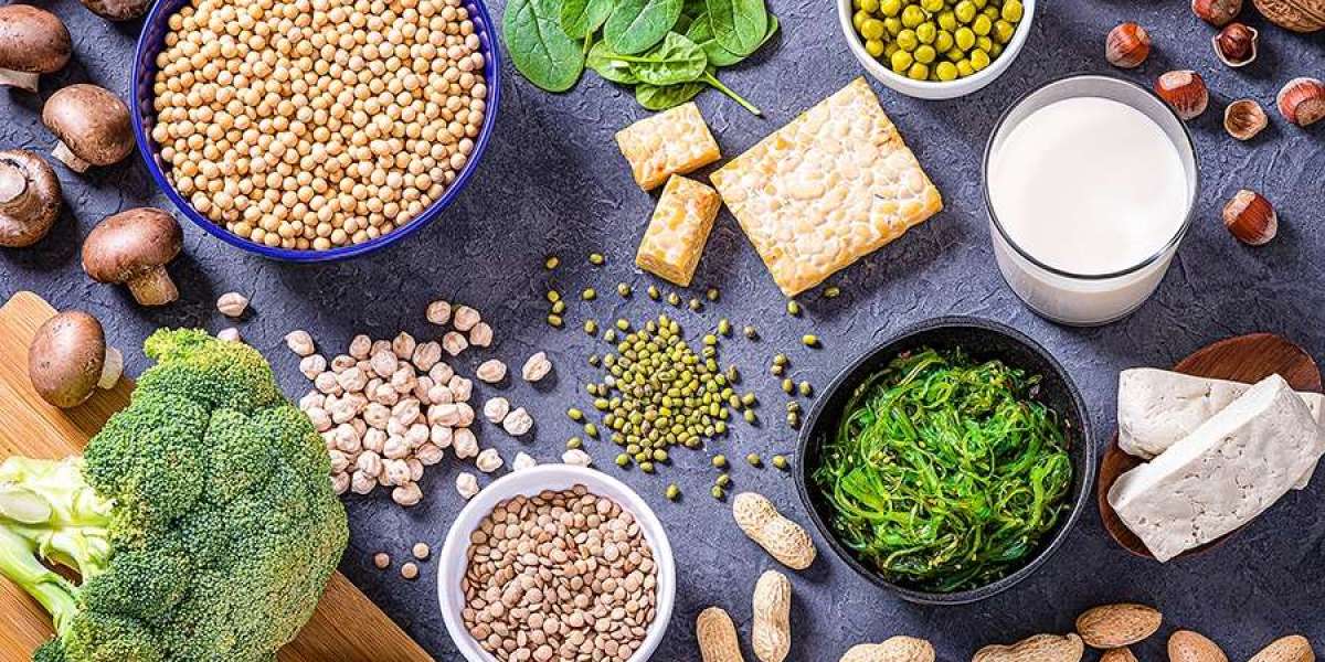 Food Alternative Protein Market Report 2024, Industry Trends, Growth, Size and Forecast Till 2032