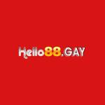 Hello88 Gay profile picture