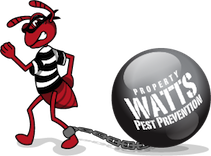 Award-Winning Phoenix, Arizona Exterminator | Watts Pest Prevention