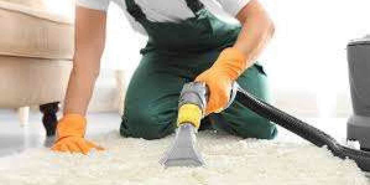 How Professional Carpet Cleaning Enhances Home Relaxation