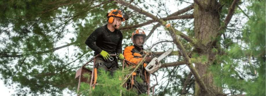 Chandler Tree Service Cover Image