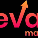 seo elevate Profile Picture