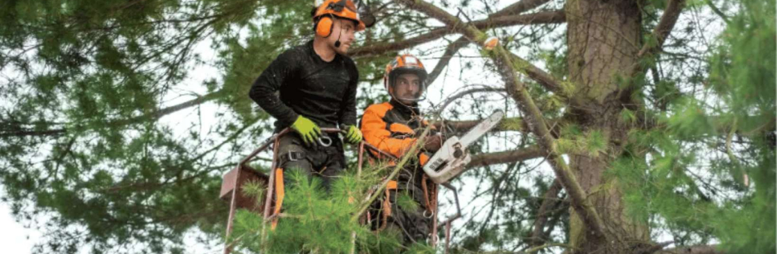 Idaho Falls Tree Service Cover Image