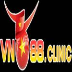 vn academy Profile Picture
