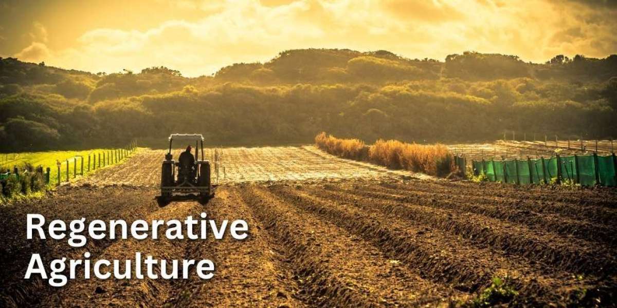 Regenerative Agriculture Market Size, Growth, Trends, Demand and Forecast 2024-2032