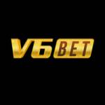 v6bet company Profile Picture