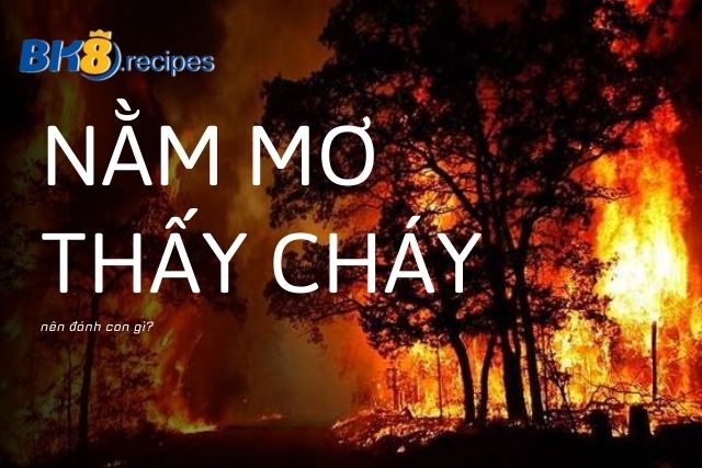 Điềm Báo Nằm Mơ Thấy Cháy Đánh Con Gì?