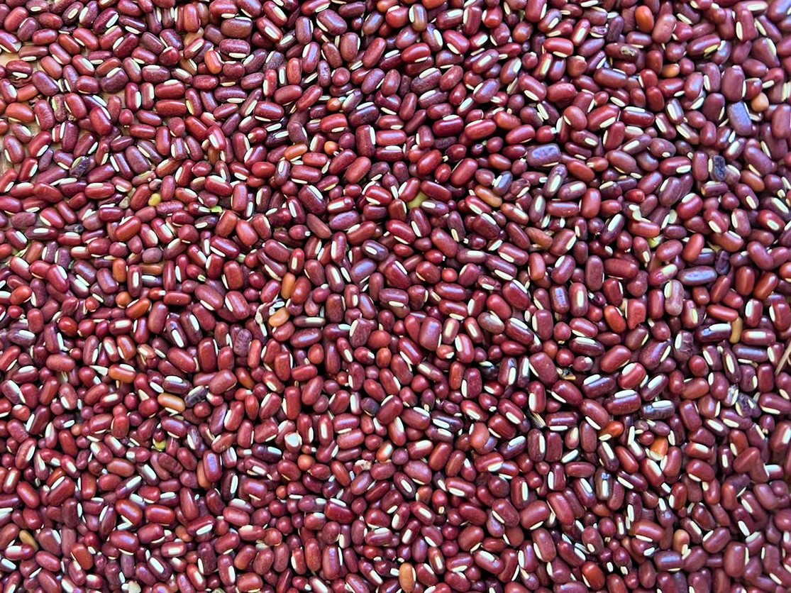 Organic Adzuki Beans: A Nutrient-Packed Superfood