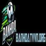 banhdatvorg vn Profile Picture