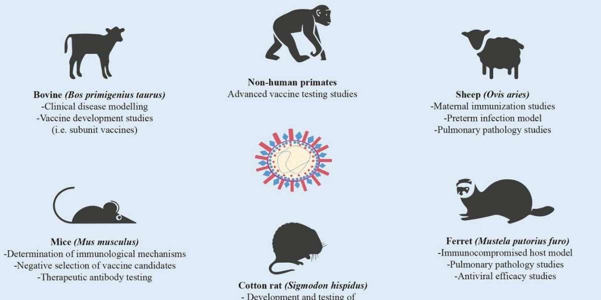 Respiratory Syncytial Virus Animal Models to Advance RSV Research