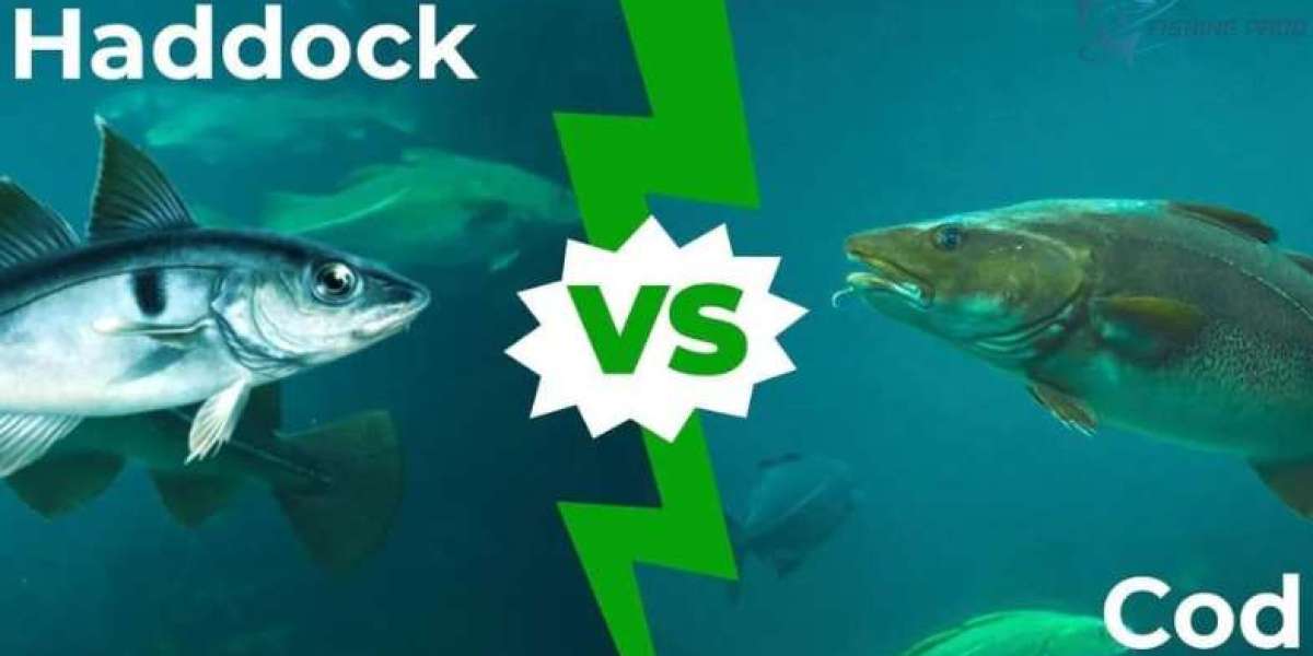 Knowing the Differences Between Haddock Vs Cod