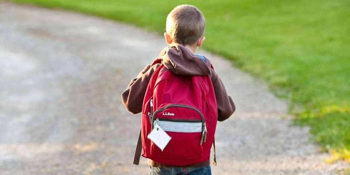 The Environmental Impact of Backpacks: How to Make an Eco-Friendly Choice