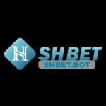 adminshbet Profile Picture