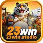 23win studio Profile Picture