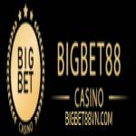 bigbet vn Profile Picture