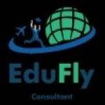 eduflyconsult Profile Picture