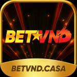 Betvnd Casa Profile Picture