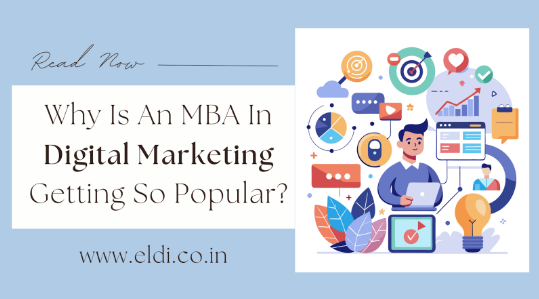 Why Is An MBA In Digital Marketing Getting So Popular? - iocmkt