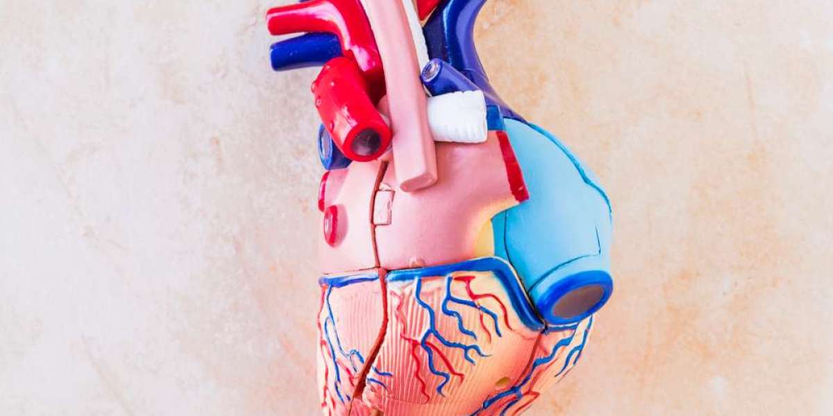 Best Heart Transplant Surgery in India: A Comprehensive Overview