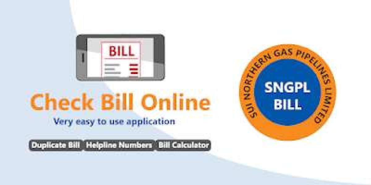 Simplify Your Payments with SNGPL Online Bill Check