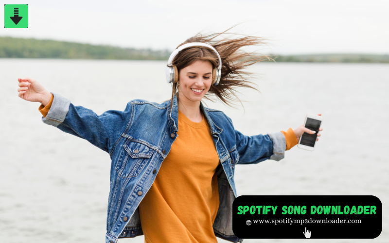 Unlock Offline Music Freedom with Spotify Song Downloader and Spotify Download MP3 | by Spotify Downloader | Sep, 2024 | Medium