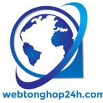 webtonghop24h profile picture