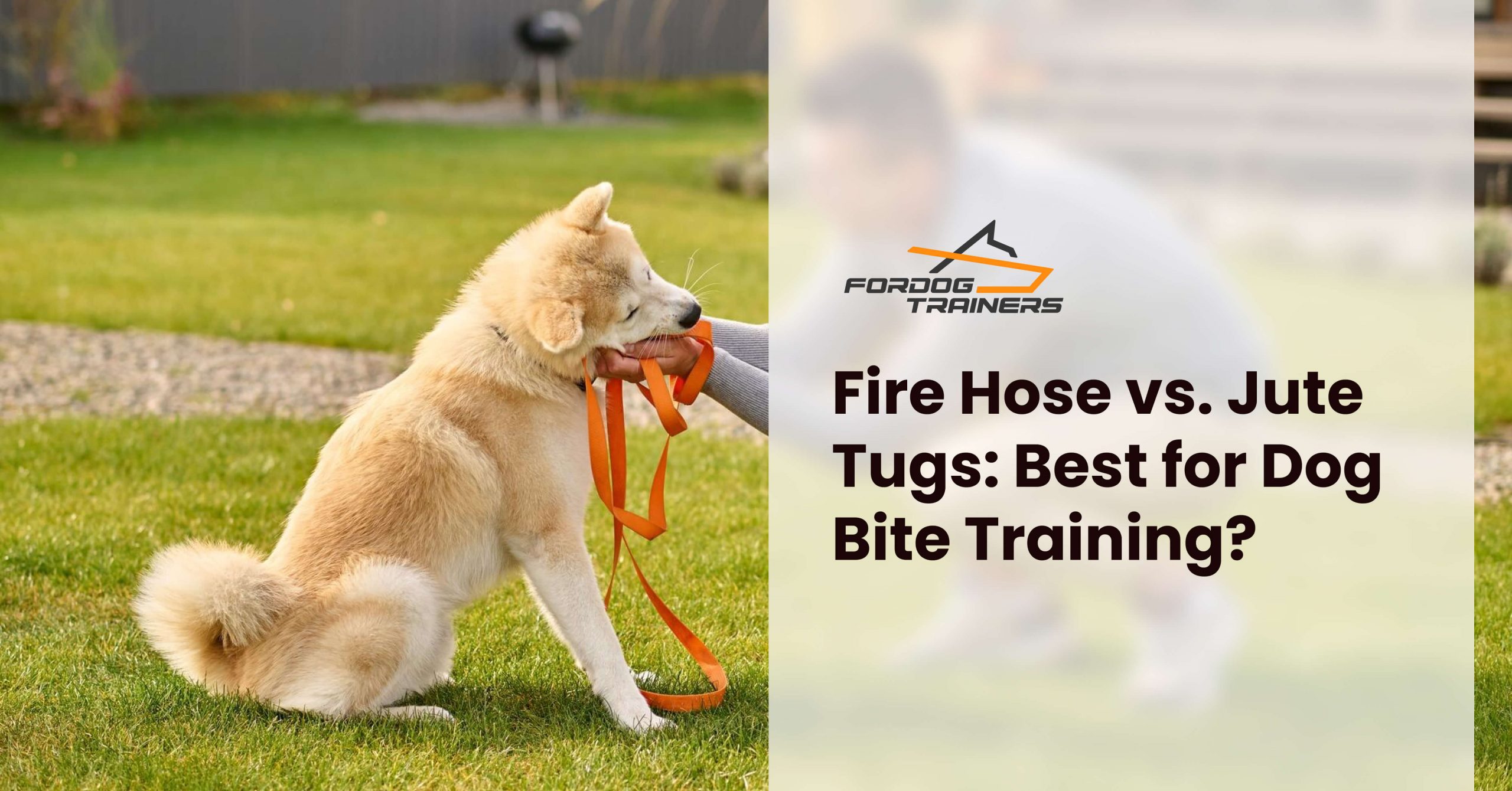 Fire Hose vs. Jute Tugs: Best for Dog Bite Training? - ForDogTrainers Blog