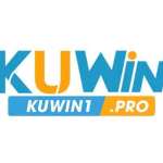 kuwin1pro Profile Picture