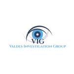 Valdes Investigation Group Profile Picture