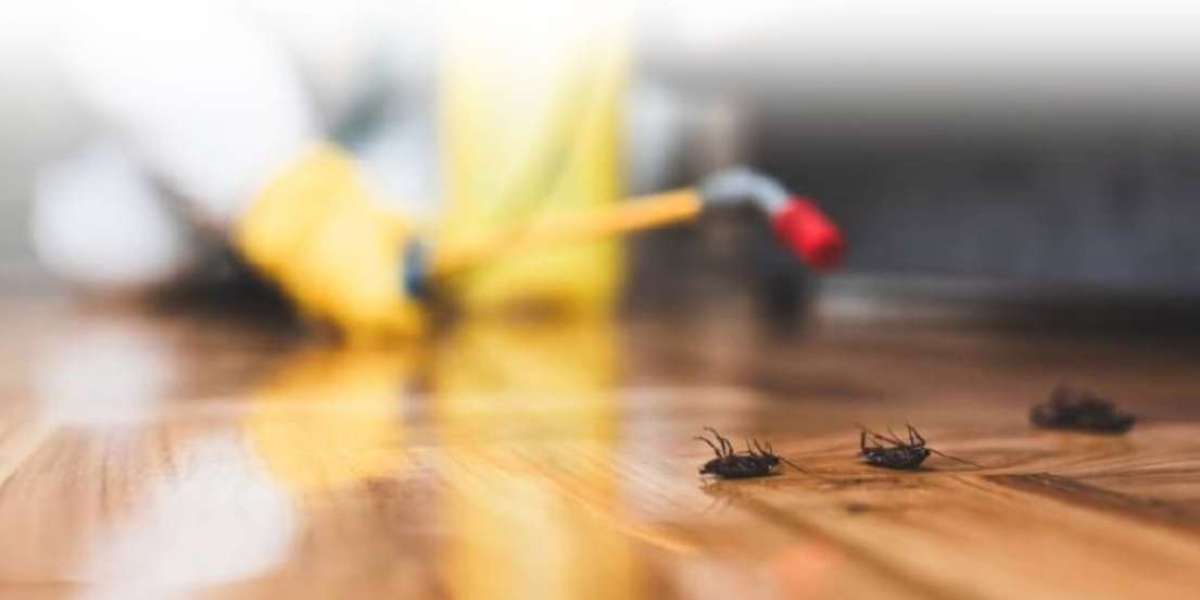 Pest Control Services in Milton: Ensuring a Safe and Pest-Free Environment