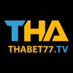 Thabet Casino Profile Picture